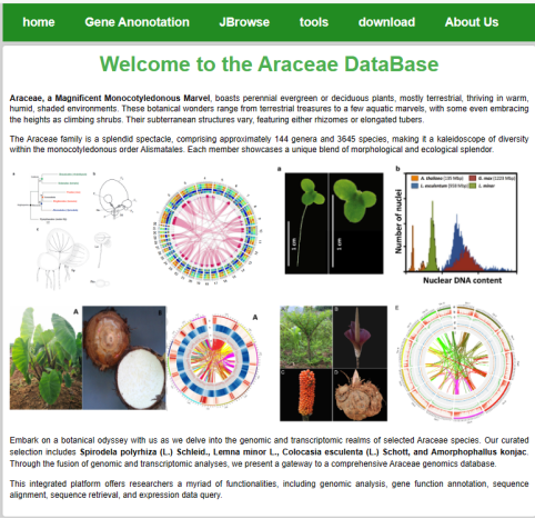 Home Page Screenshot