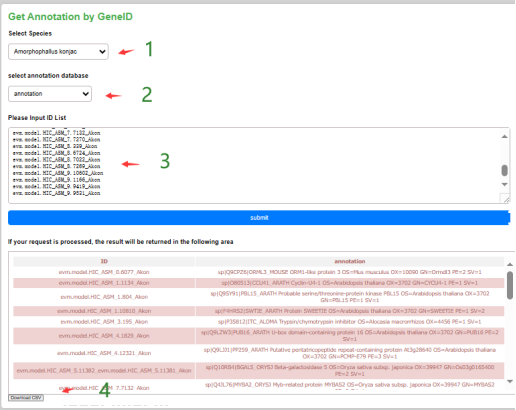 Gene Annotation Screenshot