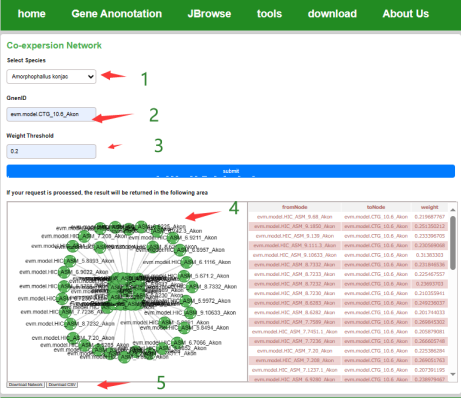 Co-expression Network Screenshot