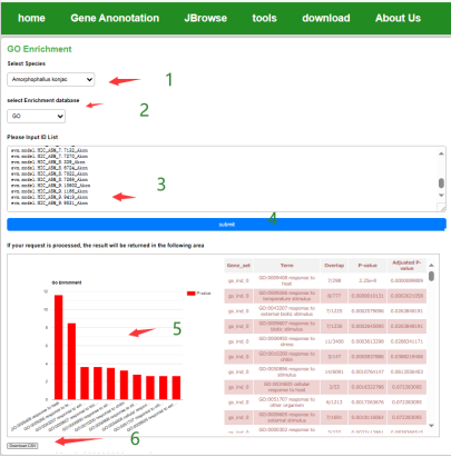 GO Enrichment Screenshot