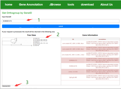 Homologous Orthologous Groups Screenshot